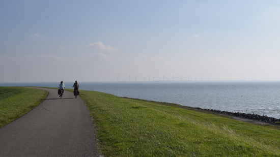 The Dutch Way